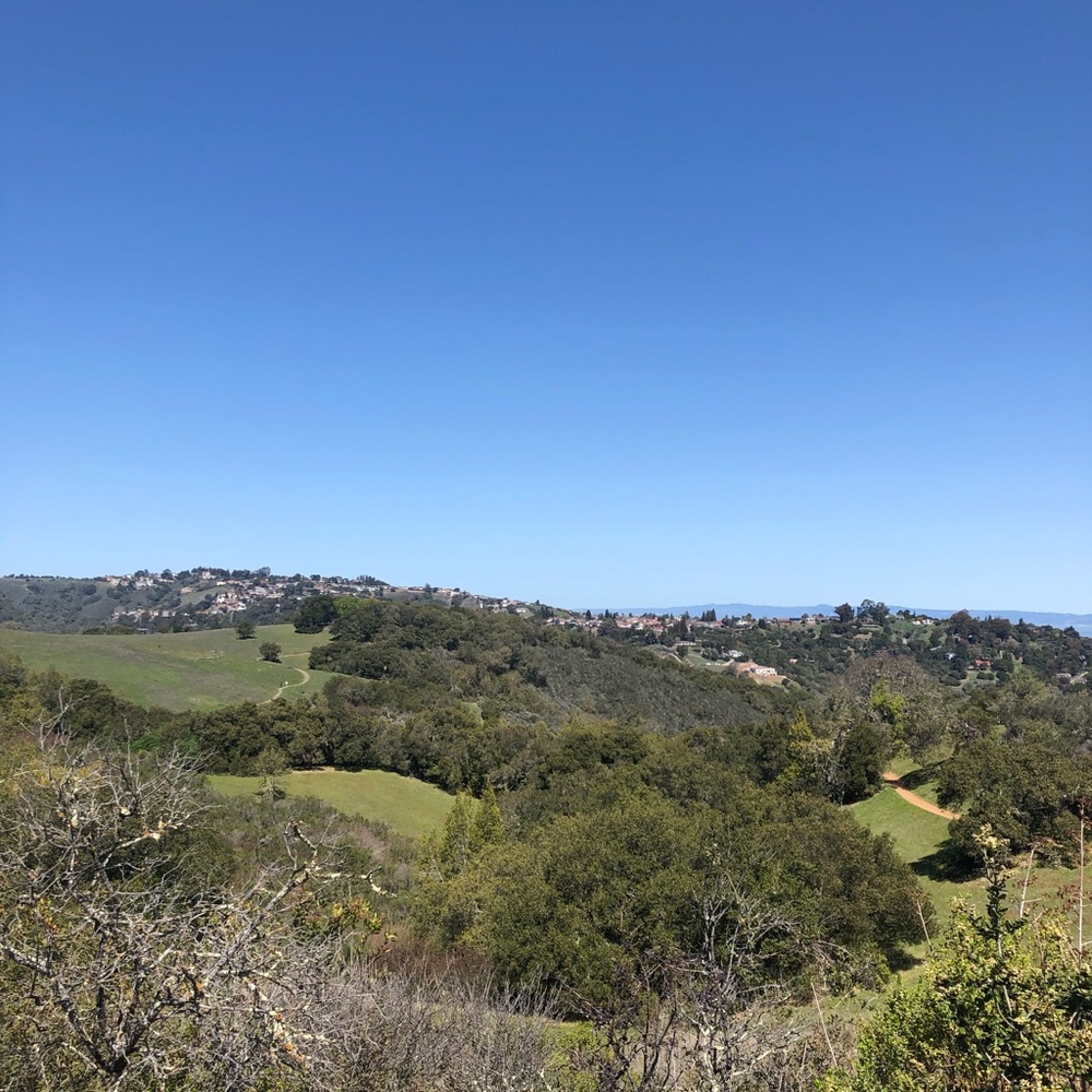 Meet your Posher, Nishita